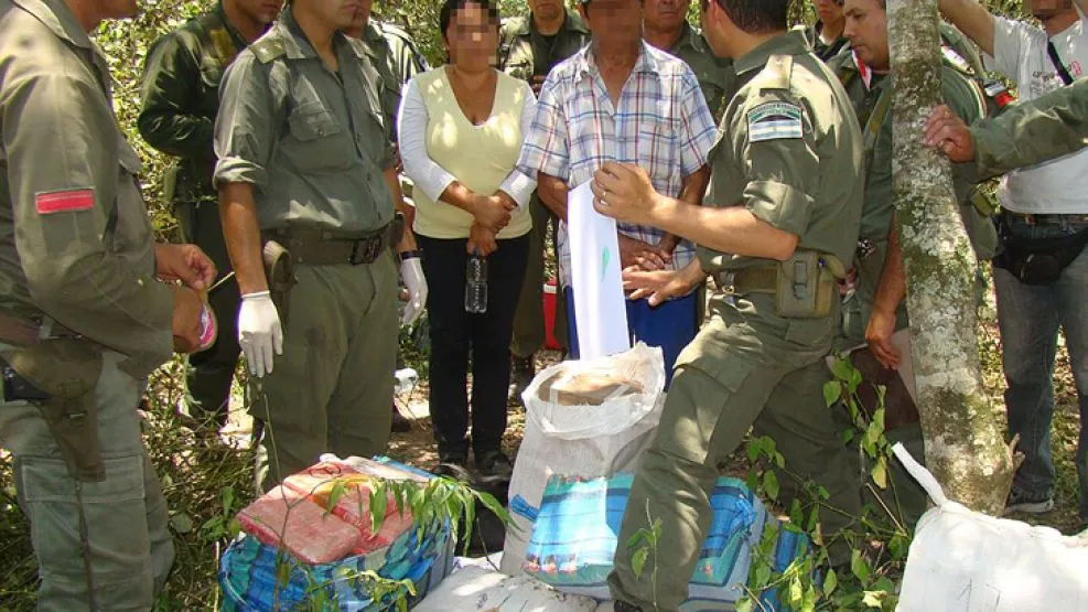 palmita3.jpg
